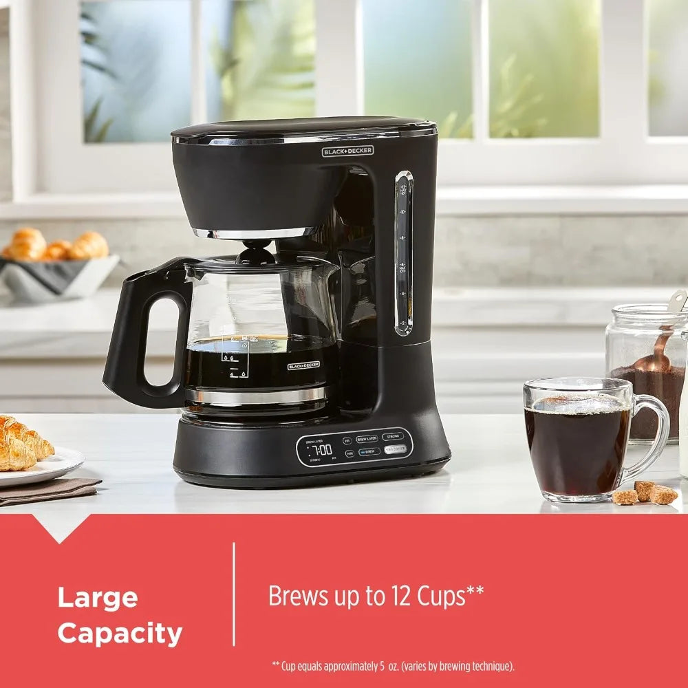 12-Cup Programmable Brewer