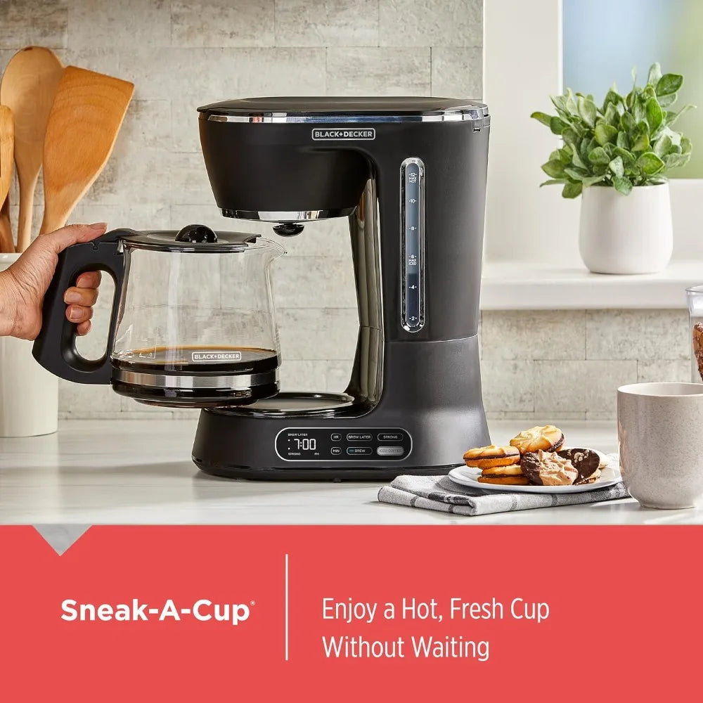12-Cup Programmable Brewer